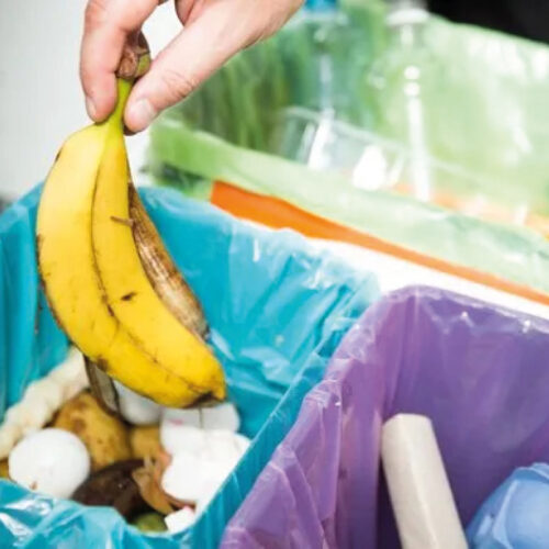 Ecodor Odorshield (concentré)