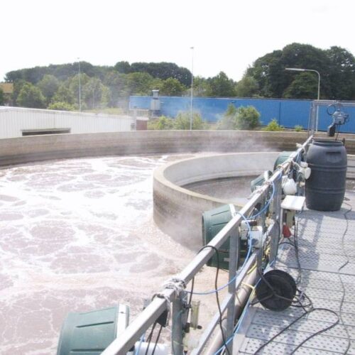 Ecodor EC250 (concentré)